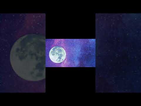 Samantha Machado - Portal do universo