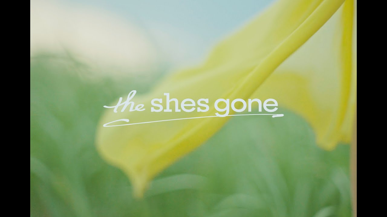 まぼろし / the shes gone