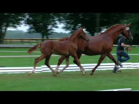 Bornhorst, Feinrich-Ehrenwort-Weltmeyer