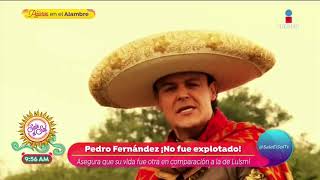¡Pedro Fernández adorado en la comunidad latina! | Sale el Sol