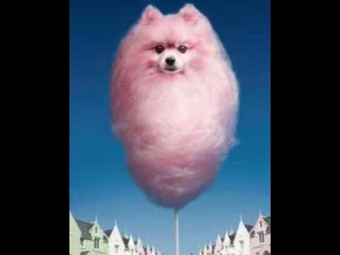 Munk & Rebolledo - Got it baby