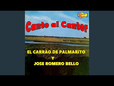 Mosaico de llano adentro