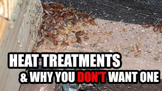 Heat Treatments for Bed Bugs & Why You Don
