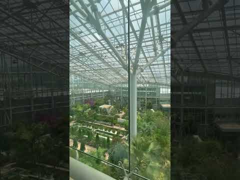 The Mediterranean garden in Four Season Conservatory - Sejong National Arboretum