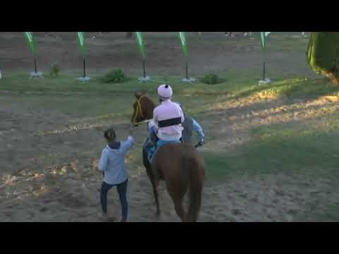 HIPODROMO SINT PAYSANDU 220415 c10 1° LE CLARTE