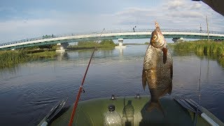 Ссылка