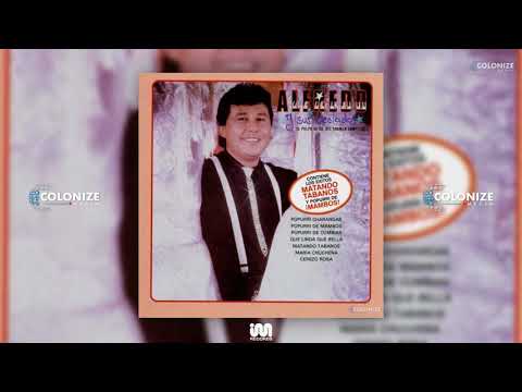 Alfredo El Pulpo Y Sus Teclados - Popurri Charangas