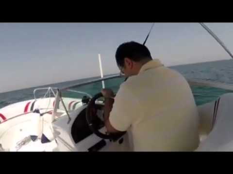 Barracuda Fishing in Dubai 2014 صيد باراكودا دبي