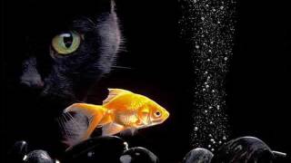 Niko Schwind - Dual Core (Original mix)