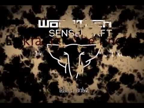 Elekfantz - She Knows (WOO2TECH & SENSEKRAFT remix)