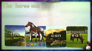 How to Use Letters alive - TRAINING