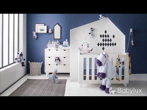 Collection Achille & Zebrito de Noukie's