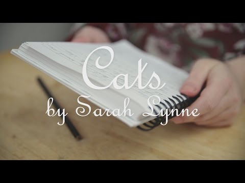 Cats By Sarah Lynne