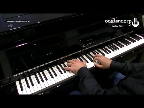 Kawai CS-11 E/P digitale piano 