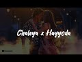 Chaleya x Hayyoda mashup | Jawan | Jahan Mubarak