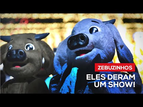 Eles deram um show!
