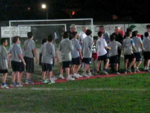 Pulcini 99 del vighignolo