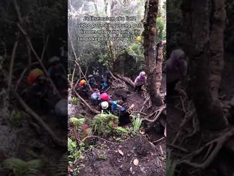 Siapa berani coba pendakian mistis di gunung-gunung Indonesia? 😱🌄 Rasakan sensasi horor yang menantang adrenalin!