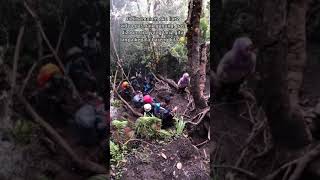 pendakian mistis horor👻👻#gunung indonesia#sh