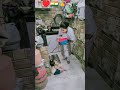 Sad Video My First Vlog Respect And Humanity Shorts Motivation Instantkarma Dehati