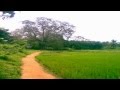 Ammaye Kandente Sankadamothidaan അമ്മയെ കണ്ടെന്റെ സങ്കടമ�