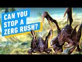 The Adorable Power of the Zerg Rush