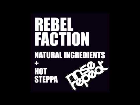 Rebel Faction - Hot Steppa [RINSE002] - Release 13th February 2013 - FUTURE JUNGLE
