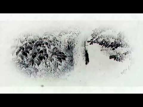 Bloodied Lens (2027) — Newest trailer.