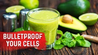 Understanding the Antioxidant Network