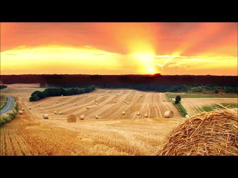 Various Liquid Drum and Bass Mix Set 9