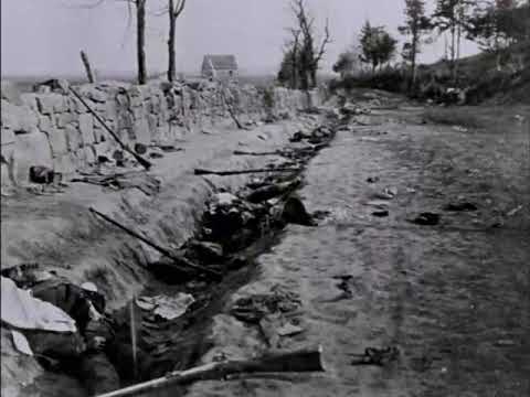 Were these things real  - Sam Watkins