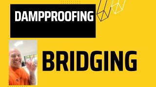 Preview of Bridging is 90% of Our Damp Work, You Won’t Believe This.