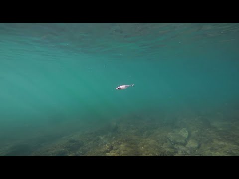 DTD BALL - WHITE KILLER