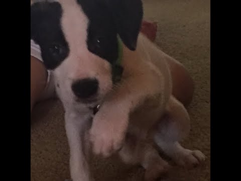 Achieving Mark of Excellence On EBR 105!