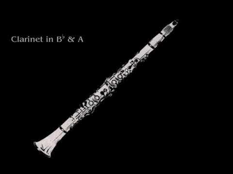 23 Clarinets - Clarinet Choir - Mozart, Symphony no. 29 1st Mov.