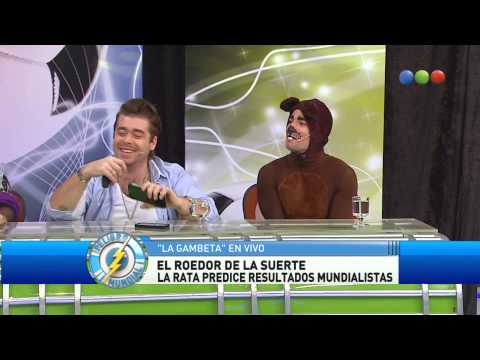 The Gambeta, The Rat and Their Fears -- Global Danger