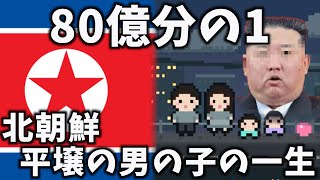 【80億分の1】北朝鮮 平壌で生まれた男の子の一生