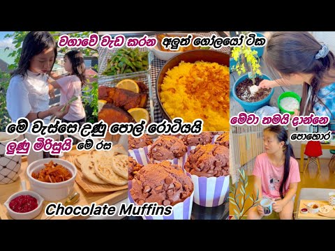 මේ වැස්සේ උණු පොල් රොටි 🌸| Life in japan 🇯🇵🇱🇰