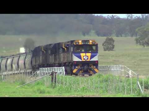 CM3304+CM3316+ CM3302+CM3305 Quipolly