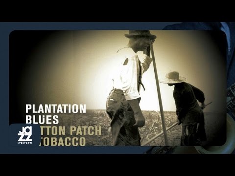 Robert Petway - Rocking Chair Blues