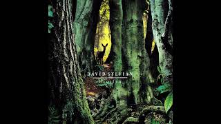 David Sylvian - Random Acts of Senseless Violence (Recomposed by Alex FX)