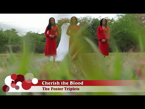 Cherish the Blood || The Foster Triplets