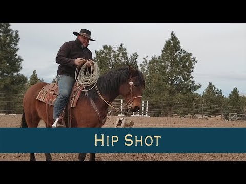 Hip Shot