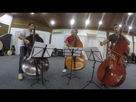 CaprixaBass - Vilanella - Miloslav Gajdoš