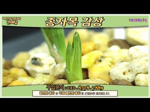 유튜브 썸네일