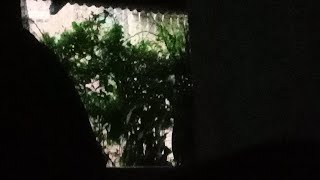 @live#live#ngopi_tiba_tiba_gerimis_hujan_rintik_rintik_beberapa_detik_detik_menit☕☕🌦🌦#jumat17okt2025