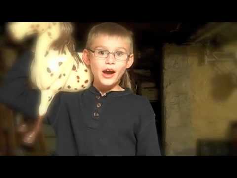 CANT HUG EVERY CAT - Official Video - Collin and Henry Version