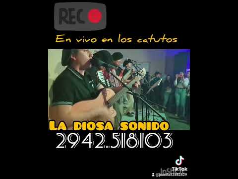 EL CAMPERO Y SU CONJUNTO EN VIVO BAILANTA CAMPERA LOS CATUTOS ..LA DIOSA SONIDO 2942.518103 dj cam