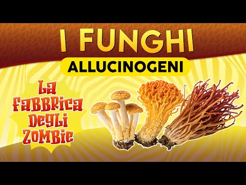 Hallucinogenic Mushrooms: The Zombie Factory ► Episode 246