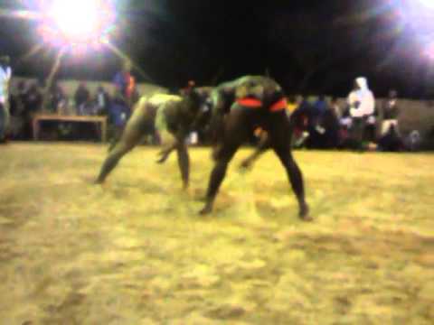 GANDJA FAMA  DIT DOFF